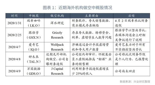 高成長光環下的財務迷局 中概股風險與擔保業務隱憂深度剖析