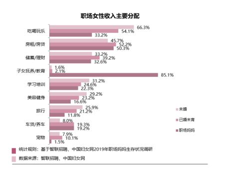 事業(yè)與收入 當(dāng)代職場女性的現(xiàn)實(shí)挑戰(zhàn)與非融資性擔(dān)保業(yè)務(wù)的啟示